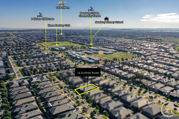 Sixth view of Homely house listing, 16 Scotney Road, Craigieburn VIC 3064