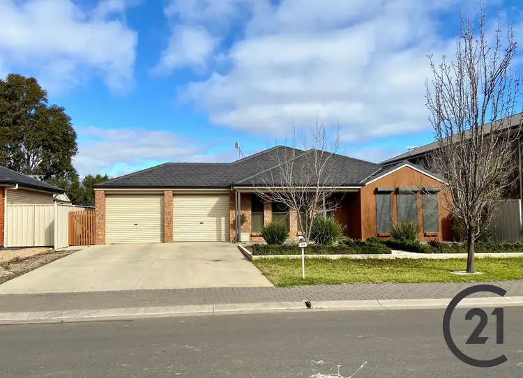 Main view of Homely house listing, 34 Reusch Drive, Nuriootpa SA 5355