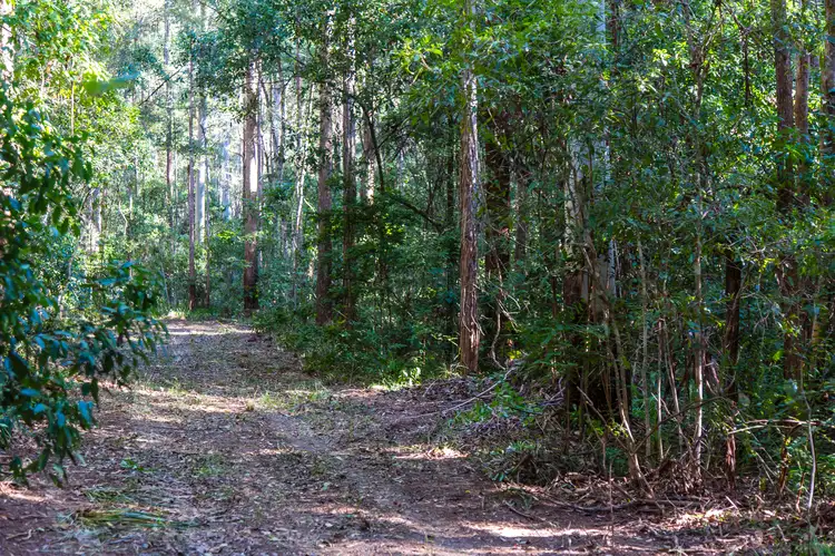 Fourth view of Homely land listing, 117 Running Creek Road, North Arm QLD 4561