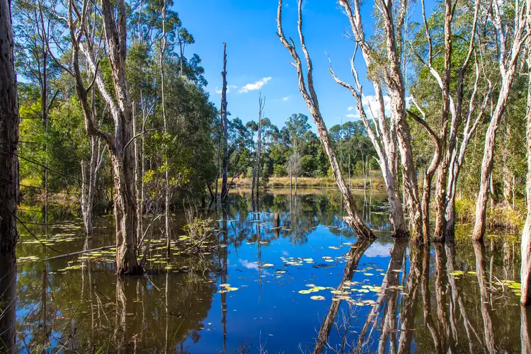 Seventh view of Homely land listing, 117 Running Creek Road, North Arm QLD 4561