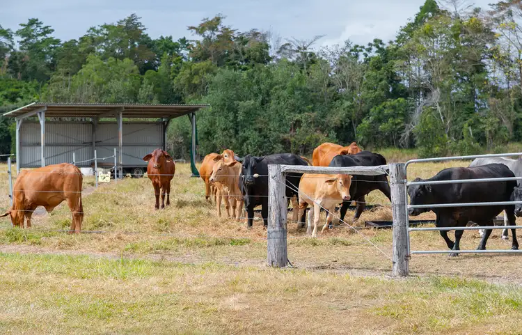 Fourth view of Homely land listing, 26 Newell Road, Newell QLD 4873