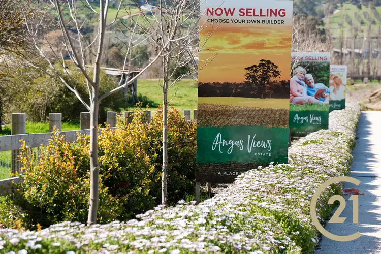 Third view of Homely land listing, Lot 6 Radford Road, Angaston SA 5353