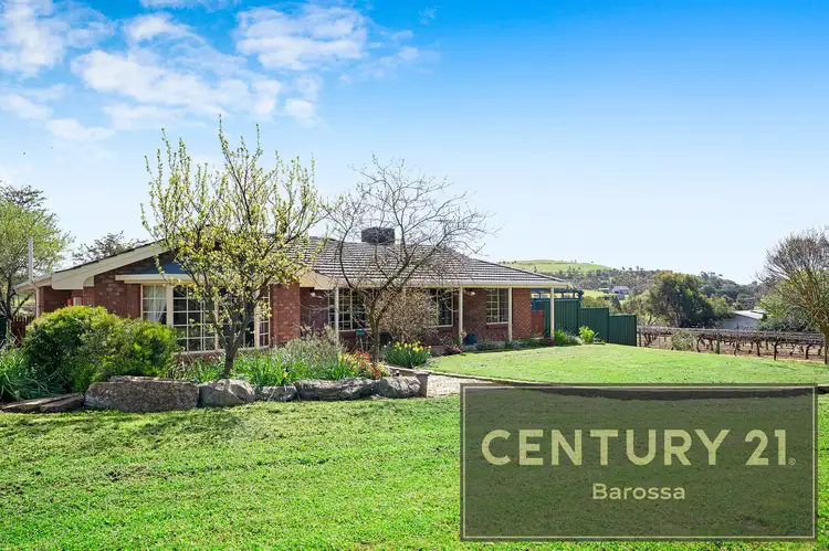 137 - 141 Moculta Road, Angaston SA 5353