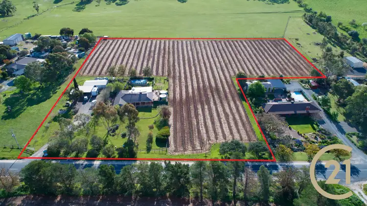 Fifth view of Homely rural property listing, 137 - 141 Moculta Road, Angaston SA 5353