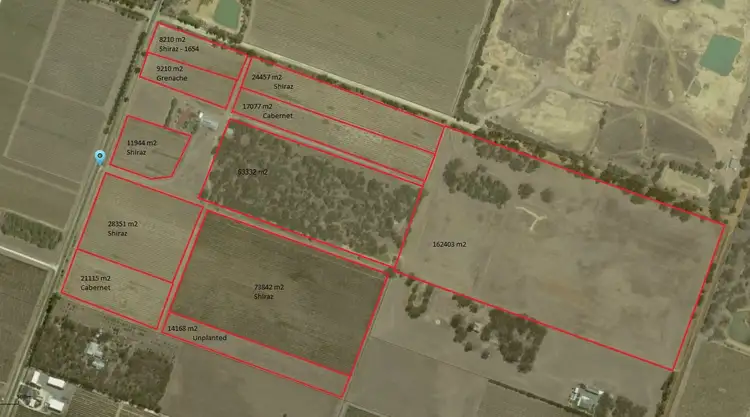 156 Belvidere Rd, Nuriootpa SA 5355