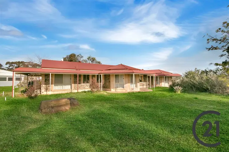 Second view of Homely rural property listing, 156 Belvidere Rd, Nuriootpa SA 5355