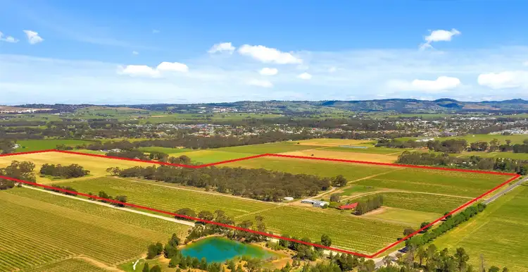 Fourth view of Homely rural property listing, 156 Belvidere Rd, Nuriootpa SA 5355