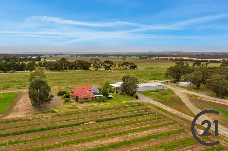 Fifth view of Homely rural property listing, 156 Belvidere Rd, Nuriootpa SA 5355