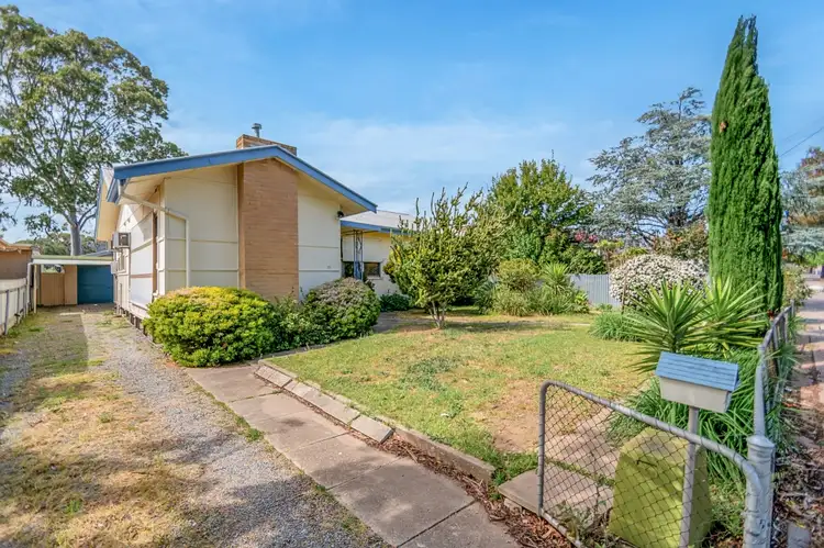 Main view of Homely house listing, 25 Cashel Street, Pasadena SA 5042