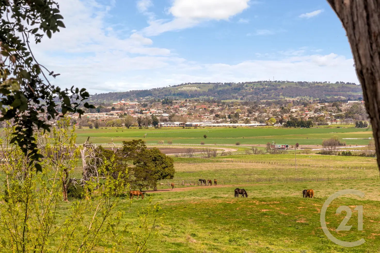 Main view of Homely house listing, 561 Sofala Road, Sofala NSW 2795