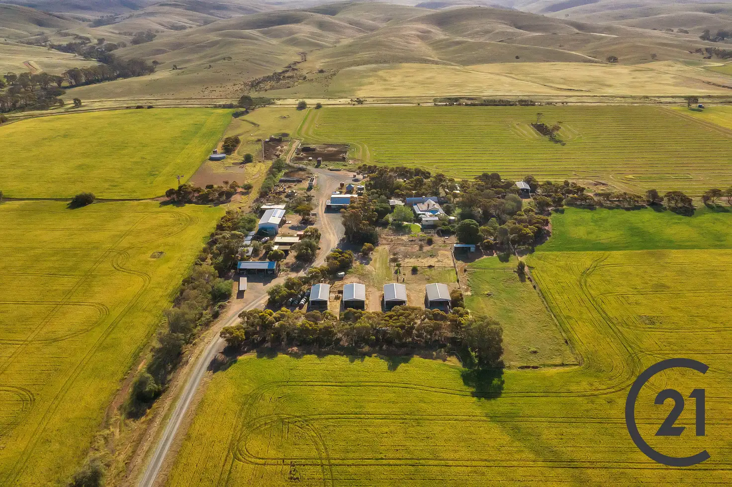 Main view of Homely rural property listing, 602 Gerschwitz Rd, Sedan SA 5353