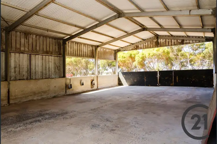Third view of Homely rural property listing, 602 Gerschwitz Rd, Sedan SA 5353