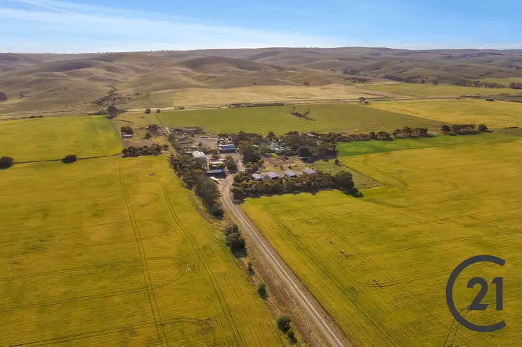 Fourth view of Homely rural property listing, 602 Gerschwitz Rd, Sedan SA 5353