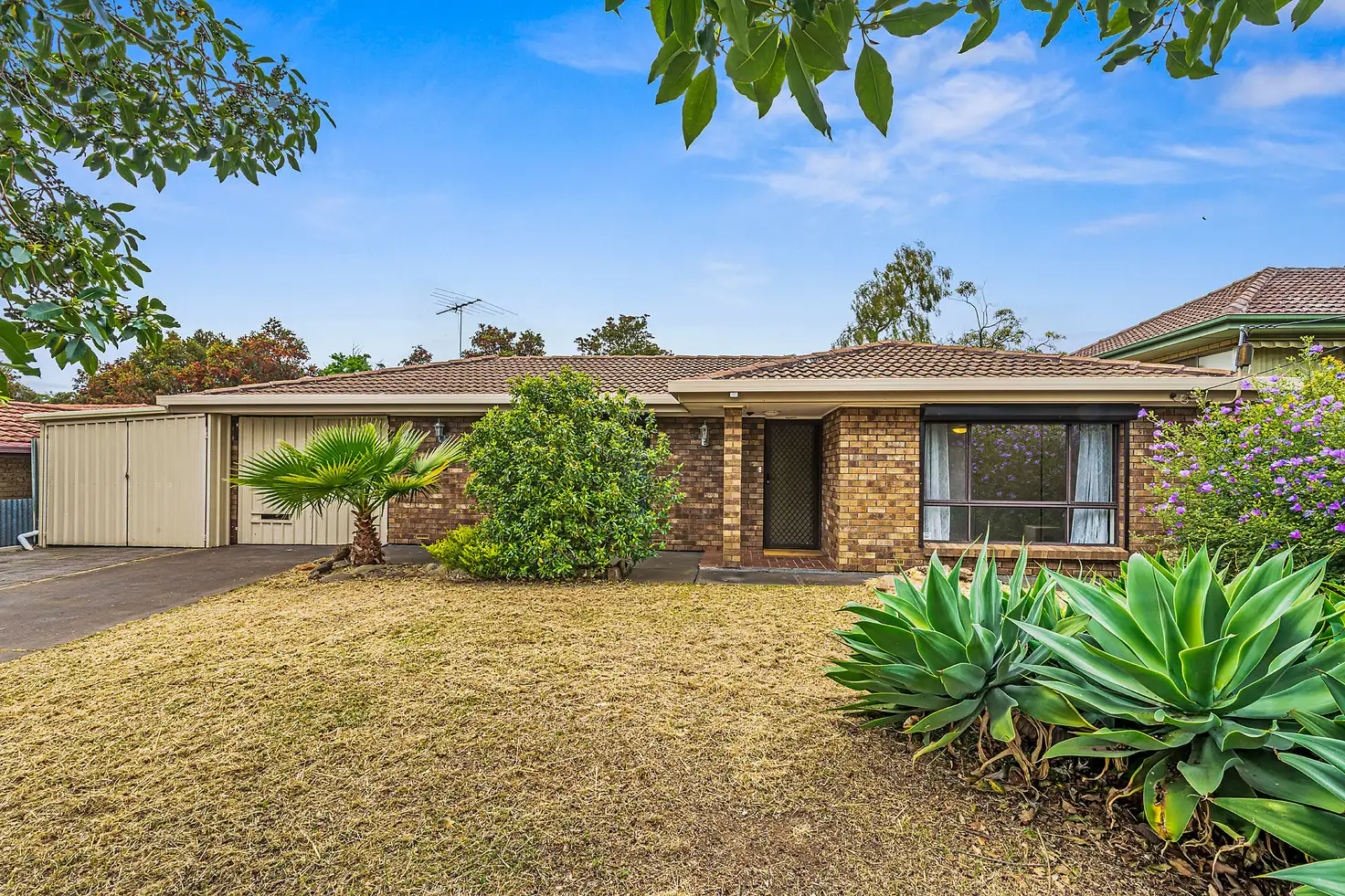 Main view of Homely house listing, 6 Timothy Road, Morphett Vale SA 5162