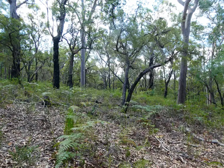Seventh view of Homely land listing, 5 Binstead Road, Faulconbridge NSW 2776