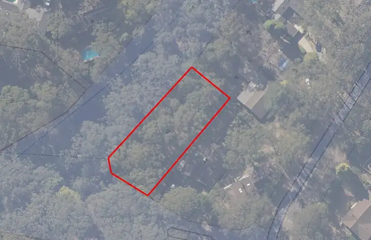 41 Eucalyptus Close, St Ives NSW 2075