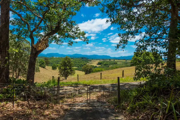 Main view of Homely house listing, 1113 Dunoon Road, Dunoon NSW 2480