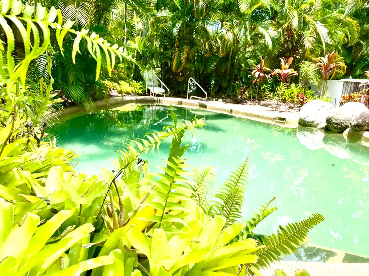 Fourth view of Homely townhouse listing, 5/3 Osprey Close, Port Douglas QLD 4877