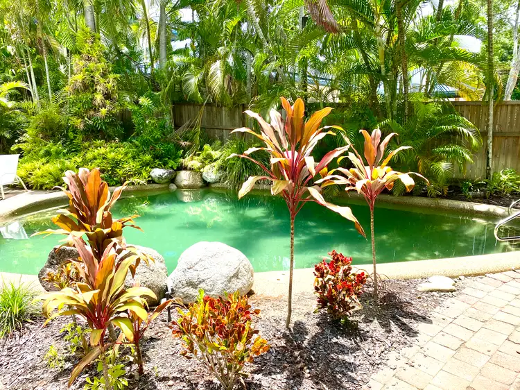 Fifth view of Homely townhouse listing, 5/3 Osprey Close, Port Douglas QLD 4877