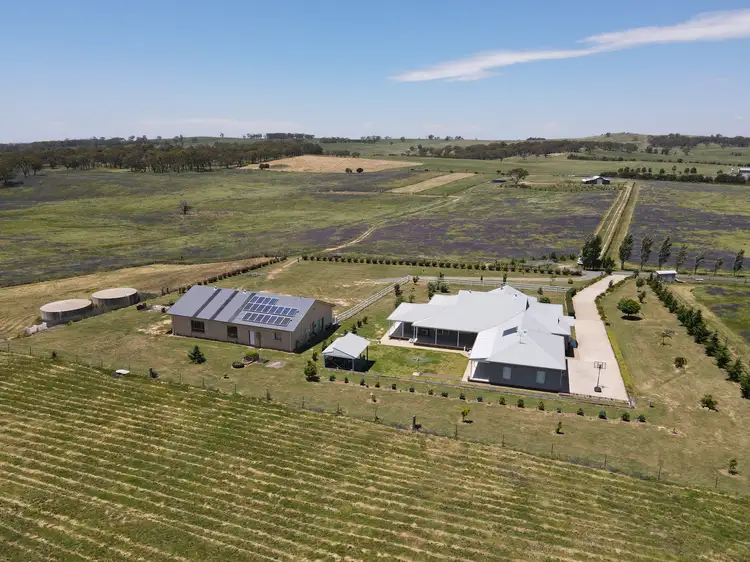 Seventh view of Homely rural property listing, 3984 Mitchell Highway (Shadforth), Orange NSW 2800