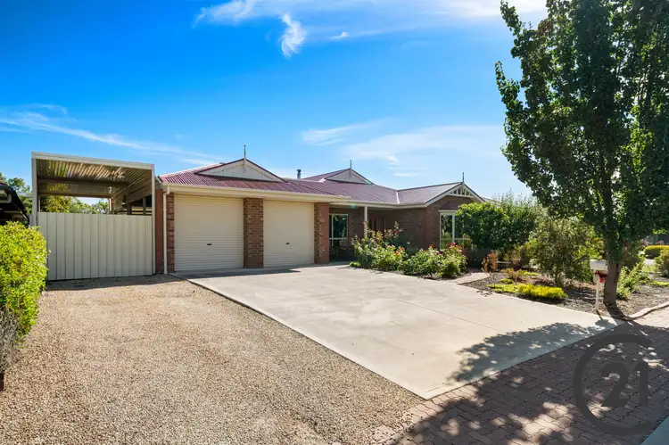 7 Robin Avenue, Nuriootpa SA 5355