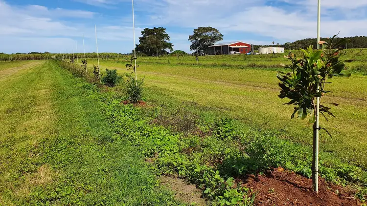 Fourth view of Homely rural property listing, Address available on request