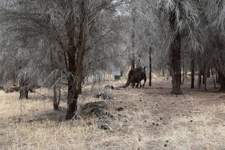 Sixth view of Homely land listing, Lot 2 Binneys Track, Penneshaw SA 5222