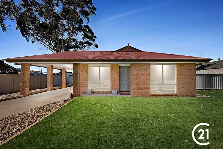 31 Butcher Street, Echuca VIC 3564