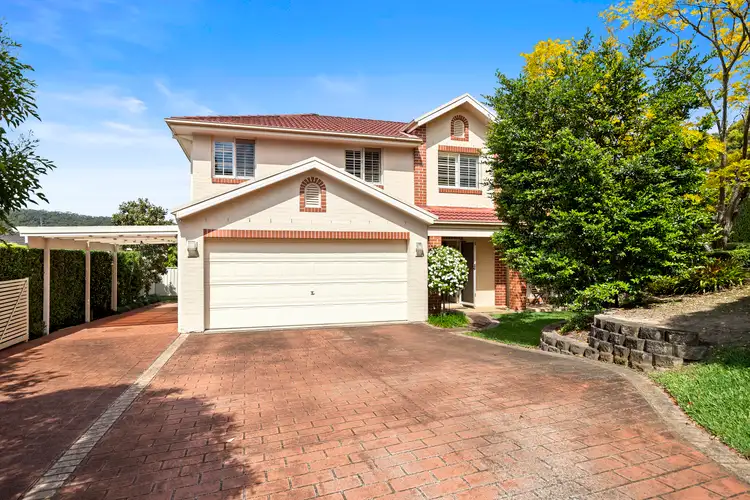 3 Scribbly Gum Crescent