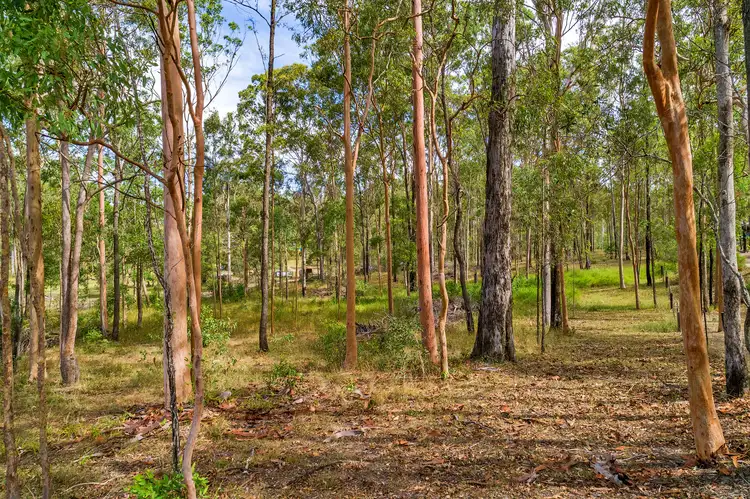 Lot 457 Arborsixteen Road, Glenwood QLD 4570