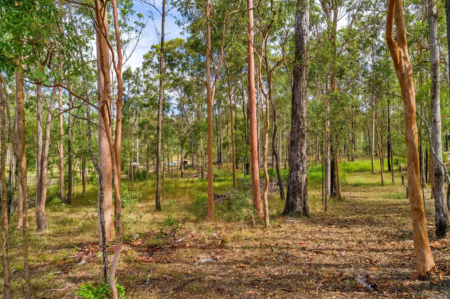 Main view of Homely land listing, Lot 457 Arborsixteen Road, Glenwood QLD 4570