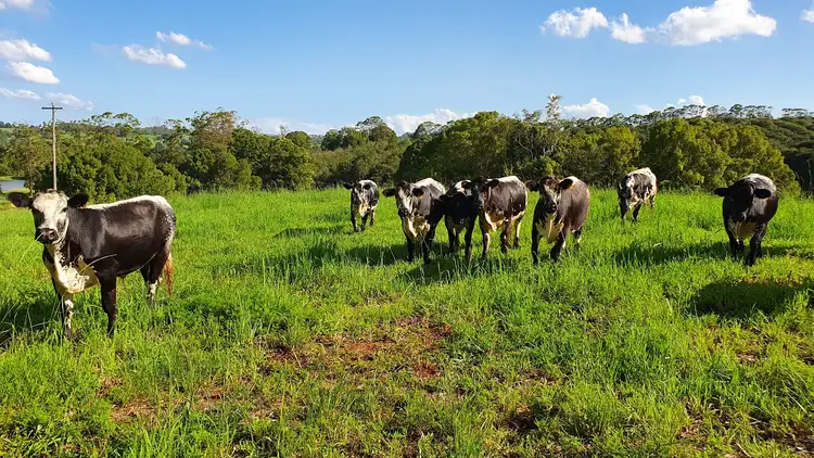 Second view of Homely other listing, Address available on request