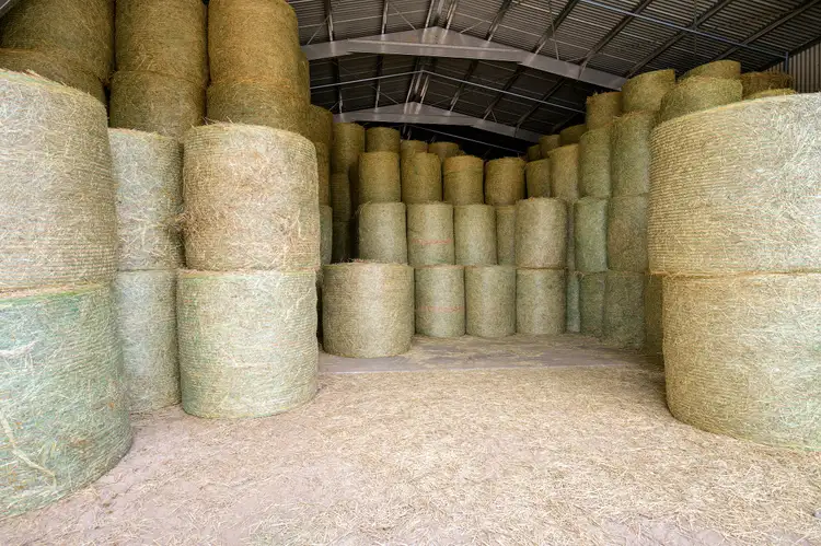 Seventh view of Homely rural property listing, 214 Rocks Road, Pie Creek QLD 4570