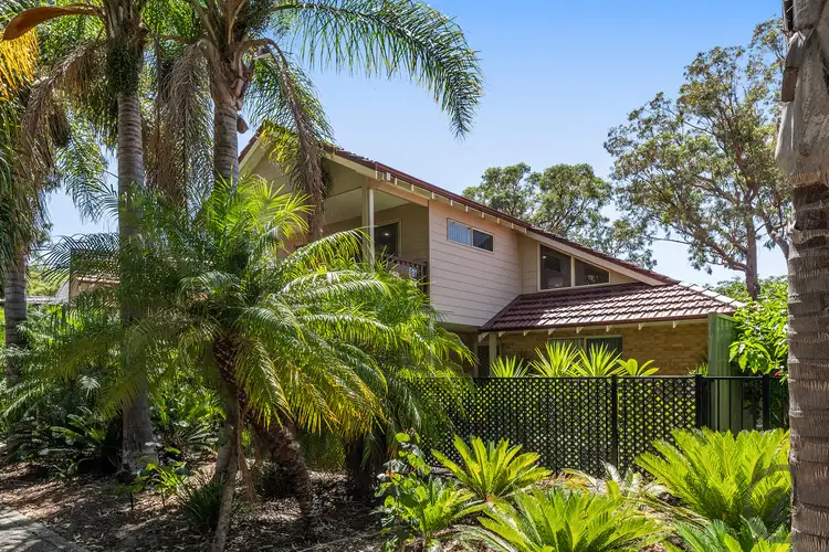 Main view of Homely house listing, 13 Marigold Lane, Falcon WA 6210