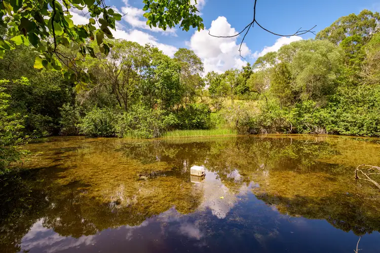Sixth view of Homely rural property listing, 60 Allen Road, Chatsworth QLD 4570