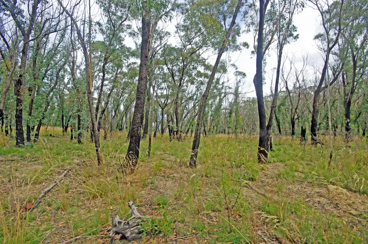 Fifth view of Homely rural property listing, 96-100 Mount York Rd, Mount Victoria NSW 2786