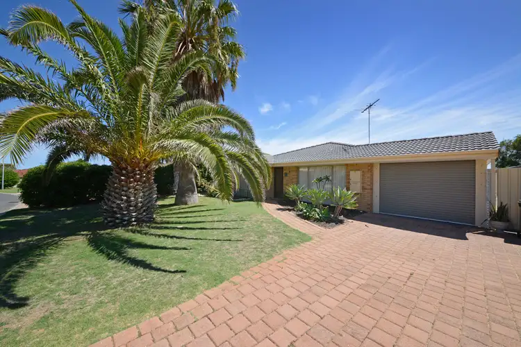 Main view of Homely house listing, 17 Trephina Mews, Clarkson WA 6030