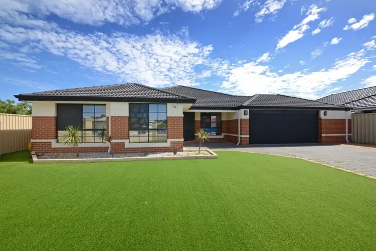 17 Silverton Avenue, Butler WA 6036
