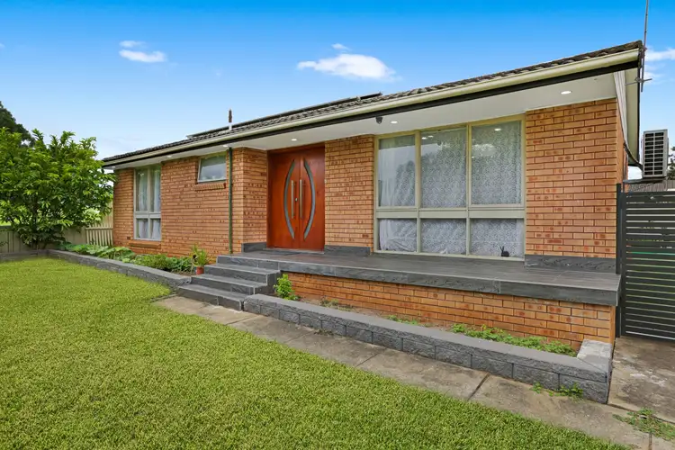 Main view of Homely house listing, 14 Ohlfsen Road, Minto NSW 2566