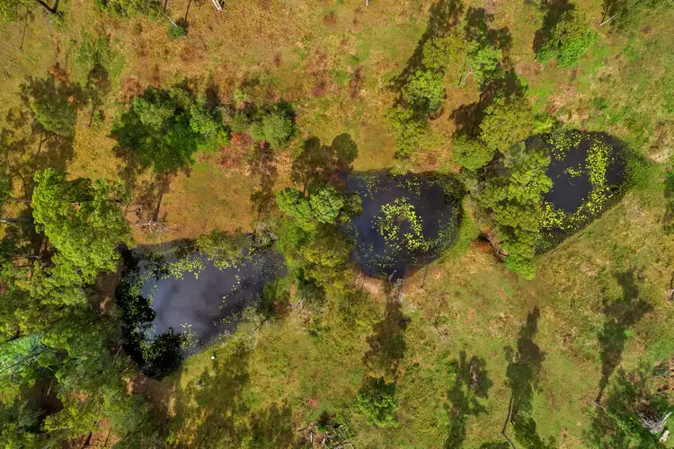 Fifth view of Homely rural property listing, 114 North Deep Creek Rd, North Deep Creek QLD 4570