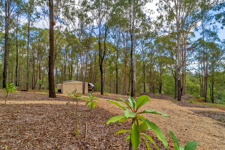 Lot 111 Trotter Road, Glenwood QLD 4570