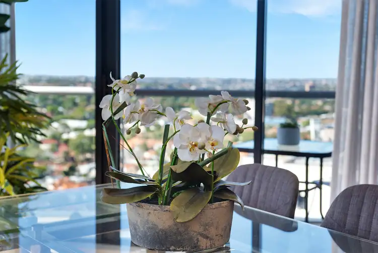 1806/1 Sergeants Lane, St Leonards NSW 2065