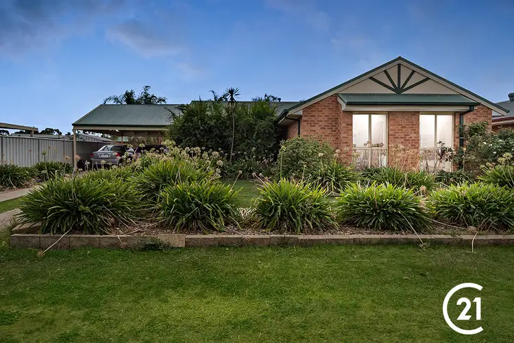 Main view of Homely house listing, 23 Alfred Avenue, Echuca VIC 3564
