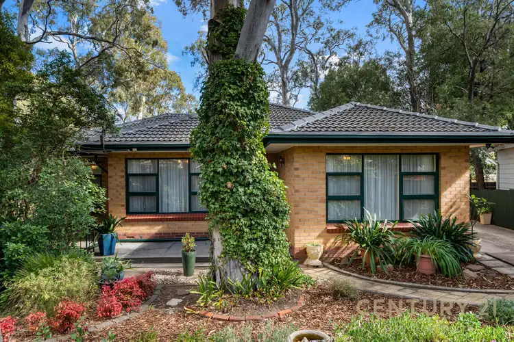 Second view of Homely house listing, 4 Tatiara Drive, Banksia Park SA 5091