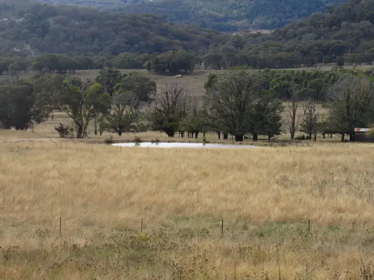 2272 Airlie Stock Route Road, Bendemeer NSW 2355