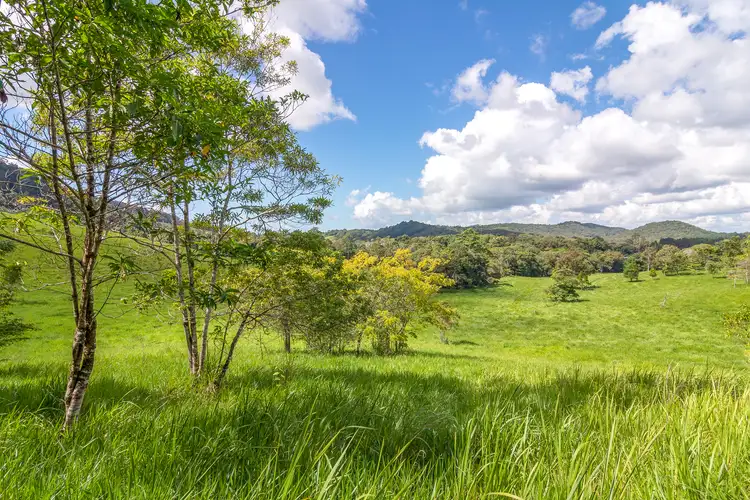 Seventh view of Homely house listing, 36 Churchill Creek Road, Julatten QLD 4871
