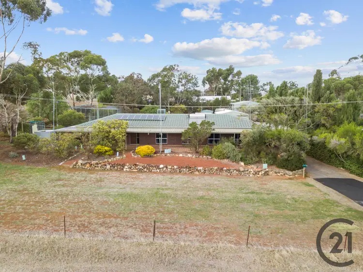Main view of Homely house listing, 23 Fuller Street, Kapunda SA 5373