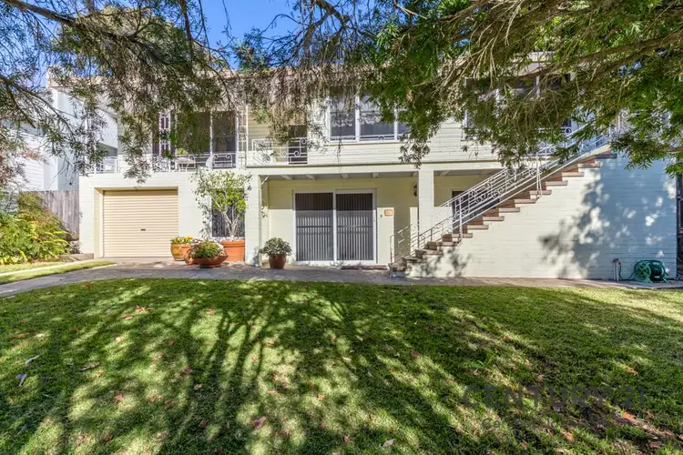 Main view of Homely house listing, 19 Terence Street, Adamstown Heights NSW 2289