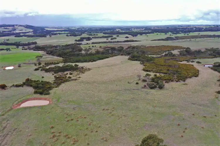 Fifth view of Homely rural property listing, Lot 2 North Coast Road, Menzies SA 5223