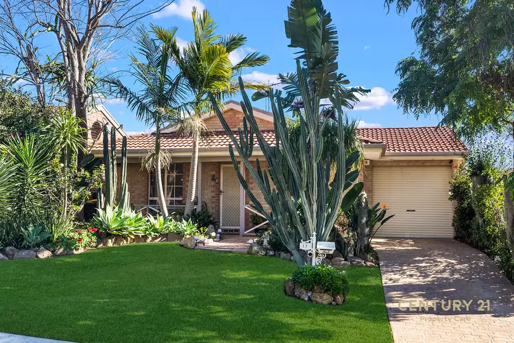 Main view of Homely house listing, 17 Gardiner Street, Minto NSW 2566